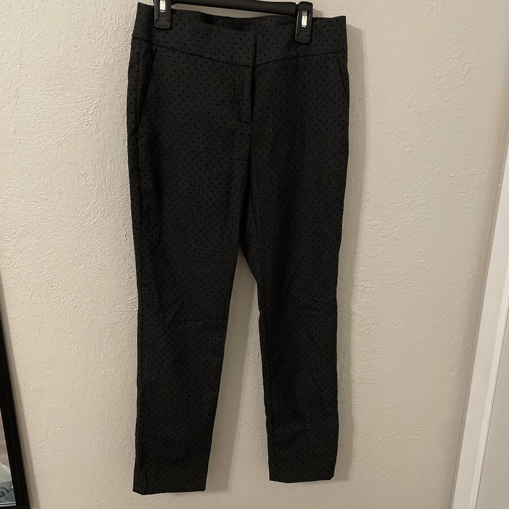 Loft petites dress pants